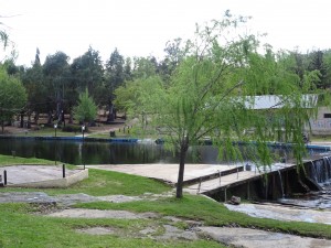 DSC00871