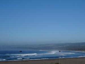 DSC03141