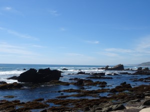 DSC03332