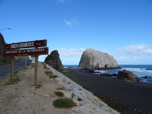 DSC03575