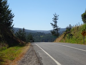 DSC03750