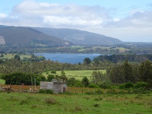 DSC03964