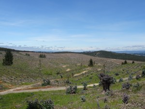 DSC04008