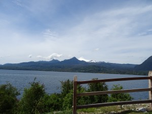 DSC04239