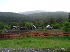DSC04334