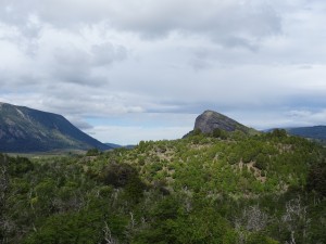 DSC04419
