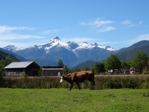 DSC05885