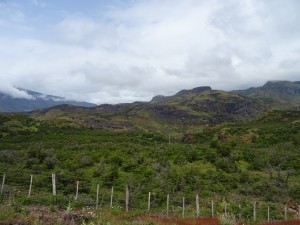 DSC06558