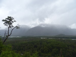DSC06886