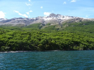 DSC07379