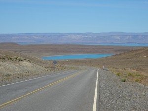 DSC07884