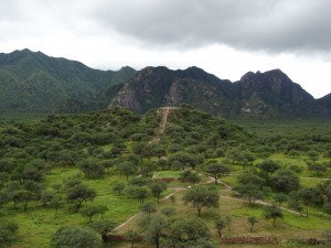 DSC00407