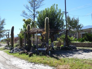 DSC00604