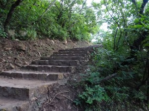 DSC00979