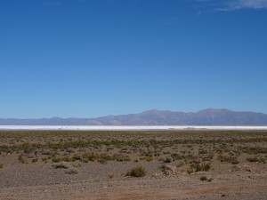 DSC01253