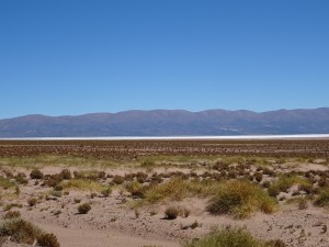 DSC01397