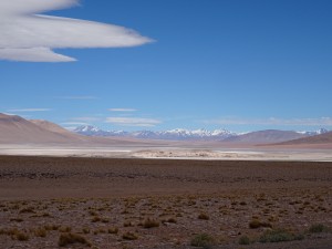 DSC01489