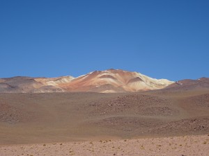 DSC01646
