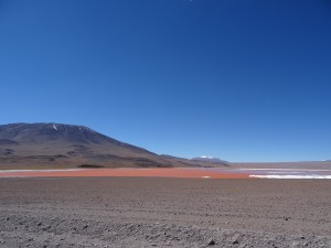 DSC01666