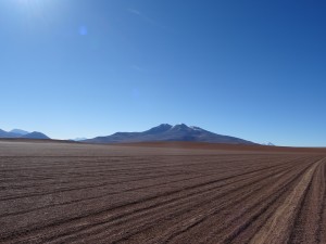 DSC01766