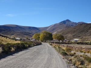 DSC02156
