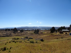 DSC03803