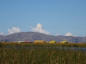DSC03856